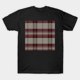 Winter Aesthetic Arable 2 Hand Drawn Textured Plaid Pattern T-Shirt